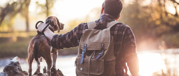 9 Dog Friendly Walks and Hikes Around Perth